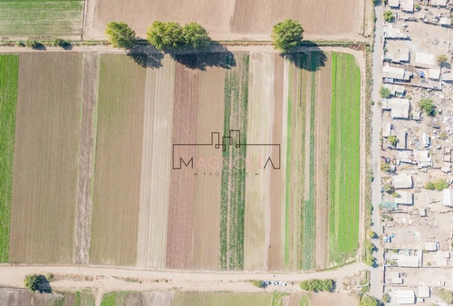 Agrícola En Venta En Lampa