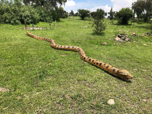 Animales Disecados 100% Artificiales VĂbora Anaconda