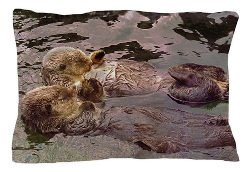 Cafepress Sea Otters Holding Hands - Funda De Almohada De Ta