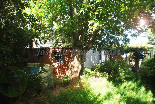 Imagen 11 de 14 de En Venta Tres Propiedades En Un Mismo Padron Colonia Del Sacramento