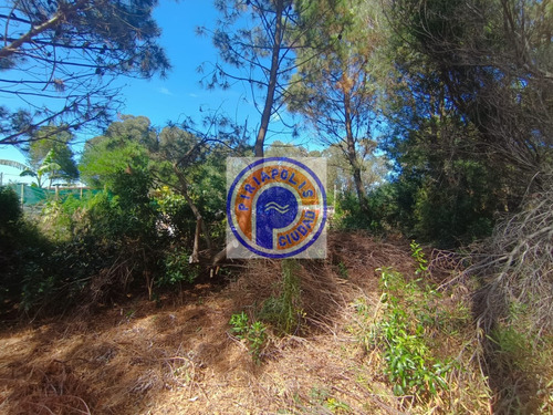 500-11 Oportunidad Gran Terreno Sobre Doble Avenida Punta Negra