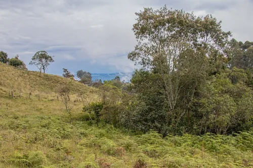 Casa Finca En Guarne 9.000 M2