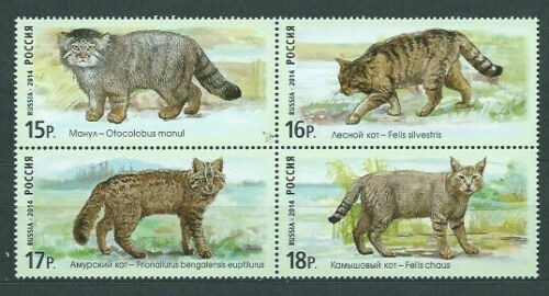 2014 Animales Domésticos- Gatos- Rusia (sellos) Mint