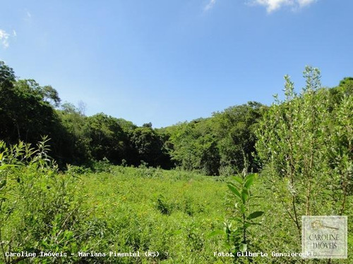 Imagem 11 de 15 de Área Rural Para Venda Em Mariana Pimentel, Linha Preta - Mariana Pimentel - 1148_1-731320