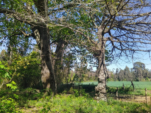 Hermosa Parcela En Venta En Gorbea