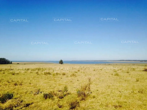 Imagen 4 de 8 de Excelente Chacra En Venta - Ruta 9 - Maldonado Ruta 9