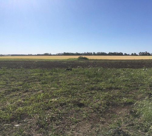 Venta De Campo 5has En La Celina, San Pedro