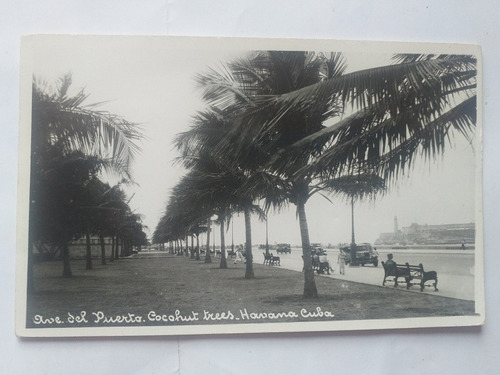 Cuba Habana Antigua Foto Postal Av Del Puerto 