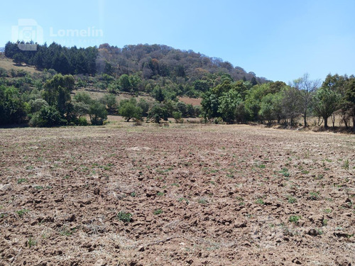 Imagen 3 de 3 de Terreno - Timilpan