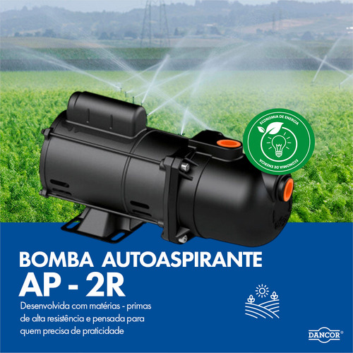 Bomba Autoaspirante Dancor Ap-2r Mono Bivolt 1/2cv Kit 2