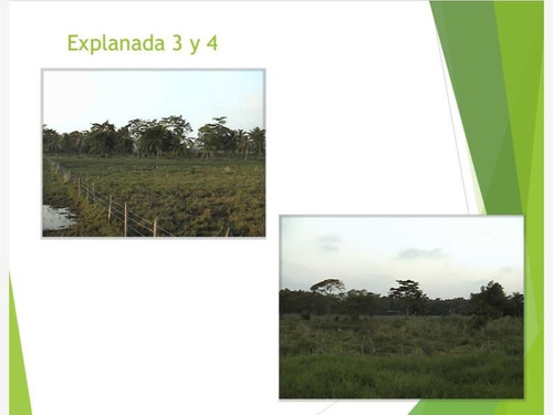 Terreno En Venta Petrolera