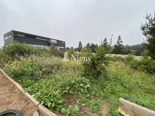 Venta Terreno Construcción Viña Del Mar Los Pinos