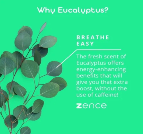 Zence Aceites Esenciales Aromaterapia Eucalipto Y Lavanda