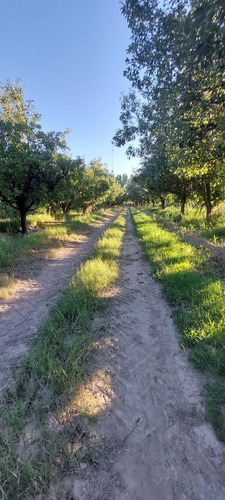 Imagen 13 de 13 de Finca - El Cerrito (la Nora)