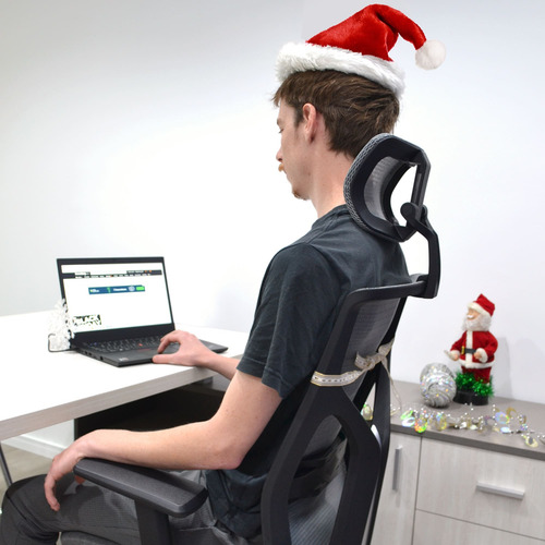Silla Ergonómica De Oficina Respaldo Mesh Rolic Cool