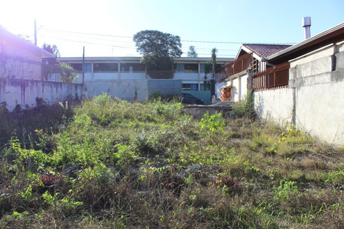 Imagem 9 de 14 de Terreno Para Alugar - 00394.002