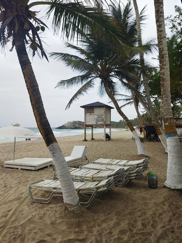 Imagen 10 de 13 de Oportunidad De Inversión Restaurante En Playa Parguito