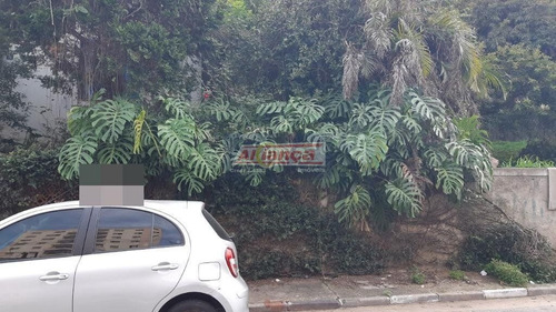 Excelente Terreno De 20x50=1000m2 Próximo Ao Centro De Guarulhos - Ai12130