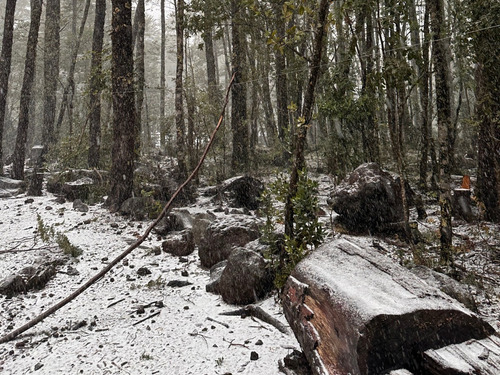 Parcela En Ecopueblo Coñaripe, A 10 Km De Termas Geométricas
