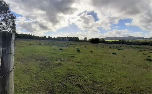 Imagen 6 de 15 de Fracción De Campo Con Costa De Arroyo Y Corriente Eléctrica
