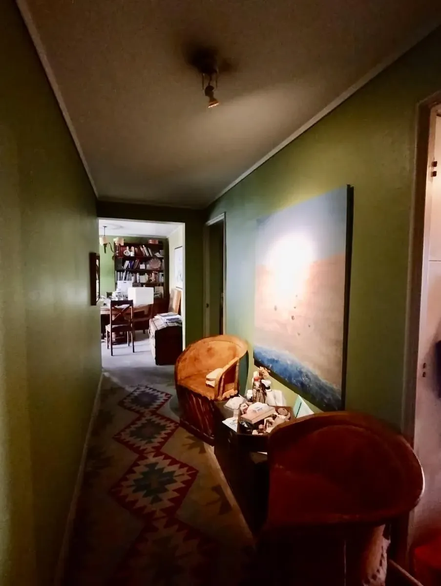 Imagen 4 de 29 de Rico Departamento En Venta Sector Parque Araucano