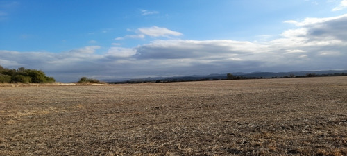 Imagen 3 de 17 de Campo 250 Hs 175 Laborables A 39 Km De Jesús María