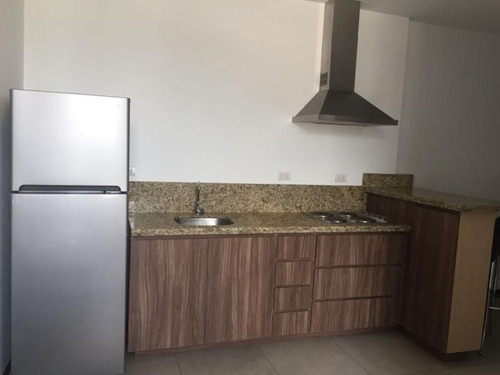 Imagen 3 de 10 de Departamento En Renta El Semillero, Centro De Monterrey