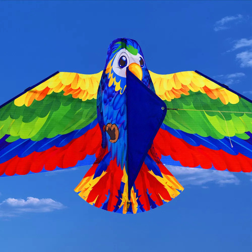 Ha Cometa Con Forma De Loro 3d Para Divertirse En La Playa