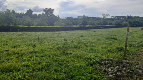  Se Vende Lote Plano Nuevo Proyecto Campestre En Armenia