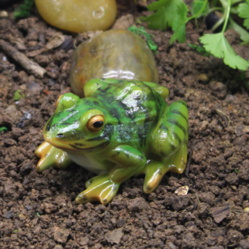 Estatua De Paisaje De Rana Sapo Sapos Anfibios Ranas