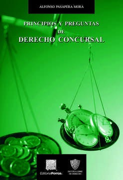 Principios Y Preguntas De Derecho Concursal