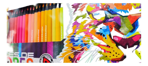 Lapices De Colores Profesionales 72pz Shely Colores