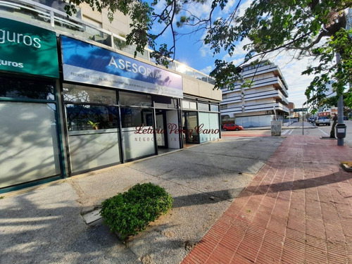 Imagen 2 de 10 de Venta Local Comercial En Peninsula