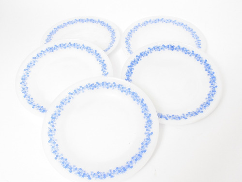 6 Pratos Rasos Termo Rey Flores Azuis ( Seminovos ) 23 Cm Branco
