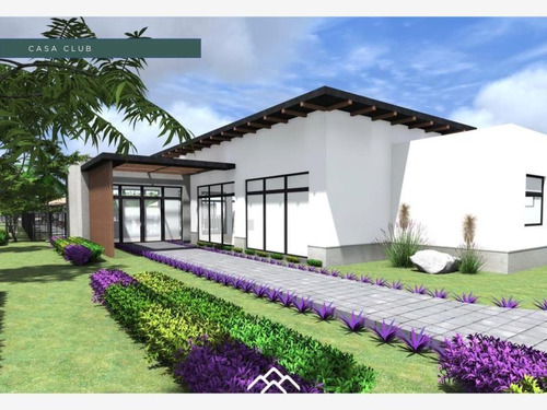 Imagen 4 de 7 de Terreno En Venta Quintas Del Palmar