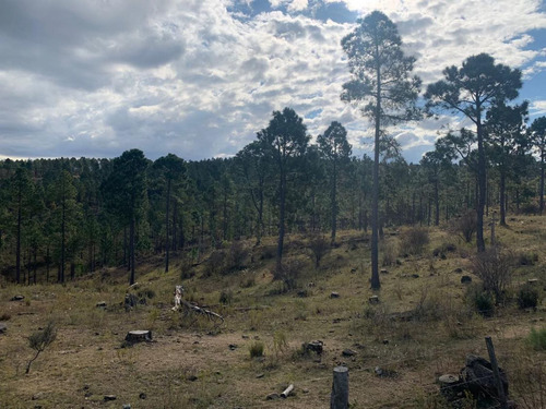 Imagen 3 de 6 de Lote Escriturado De 7432 M2 En Los Reartes- Cordoba