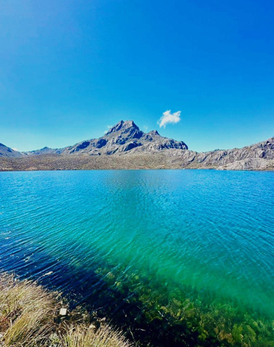 Espectacular Finca Cerca De Mucuchíes De 7 Hectáreas Para Desarrollar Posada