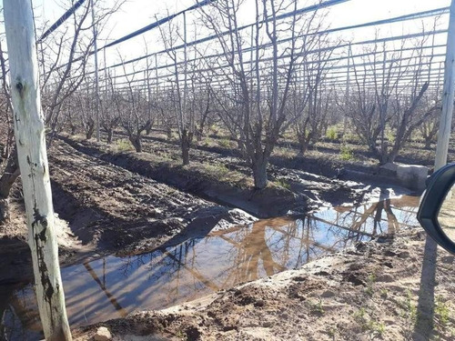Imagen 6 de 30 de 3 Fincas Con Bodega En Venta Cañada Seca.