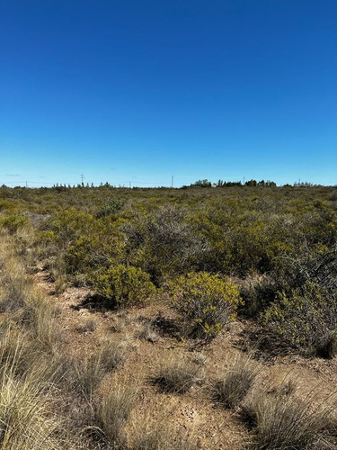 Imagen 4 de 8 de Terreno En Venta En Parque Ecologico