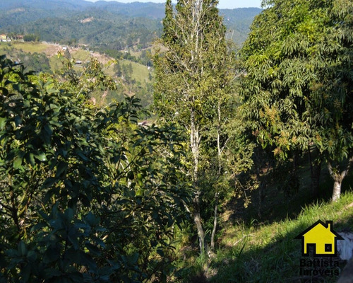 Imagem 19 de 30 de Chacara - 1505 - 33047018