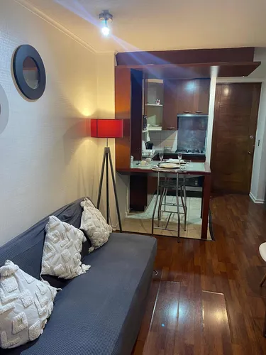 Comodos Departamentos En Bellas Artes