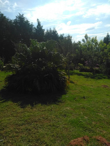Imagem 13 de 13 de Excelente Oportunidade De Negócios Chácara Com 10.600m² De Terreno E 02 Casas - Bairro Ibiúna De Cima - Ibiúna/sp - Ch684v