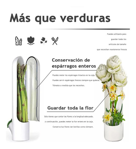 Recipiente Conservador De Verduras Hierbas Flores Fresco