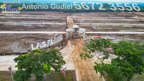 En Venta Lotes 8x16 En Residenciales Las Flores 2
