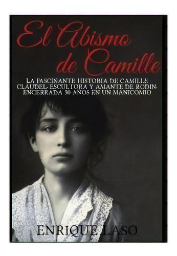 El Abismo De Camille, De Enrique Laso. Editorial Createspace Independent Publishing Platform, Tapa Blanda En Español