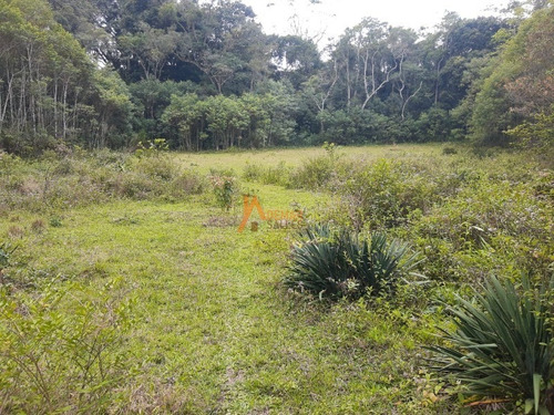 Imagem 11 de 30 de Sitio - St00050 - 68459069