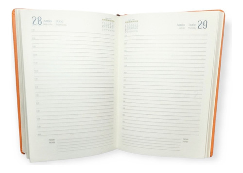 Agenda 2024 Katana A5 Diaria 21x15 Cm Año C/tira.
