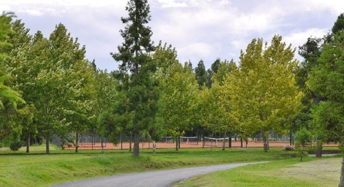 Imagen 7 de 12 de Miralagos Club De Campo - Lote Central Forestado