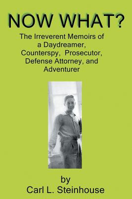 Libro Now What?: The Irreverent Memoirs Of A Daydreamer, ...