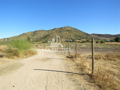 Imagen 17 de 24 de Agrícola En Venta En Maule